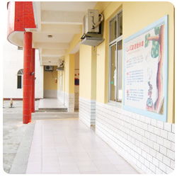 德阳市公众信息网 智慧政务与网络科技的融合典范