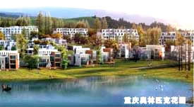 德阳市公众信息网 数字化服务与网络科技融合的典范